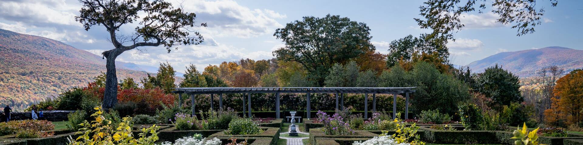 A garden with a central pathway, surrounded by neatly trimmed hedges and various plants.