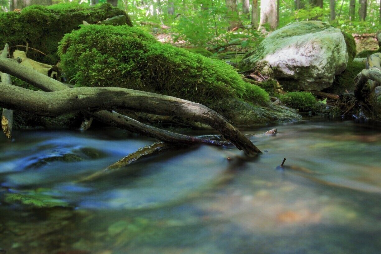 The Equinox Preserve covers 914 acres of 
forest lands on the eastern slopes of Mount Equinox in Manchester, Vermont.

The land is owned by the nearby Equinox Resort, open to guests with trails of varying difficulty.
