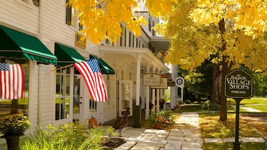 Un edificio blanco con toldos verdes y una bandera estadounidense. Hay un letrero que indica Plough & Stone Farm Tables y The Equinox Village Shops.