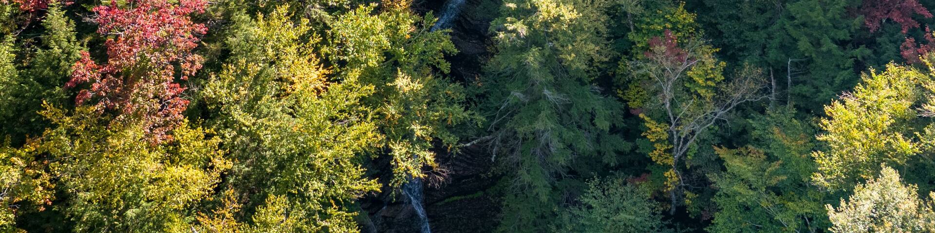 Aerial view of red autumn trees at Lye Brook Falls, Manchester Center, Vermont, United States.