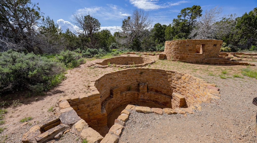 Sunny view of the historical Coyote Village in Mesa Verde National Park