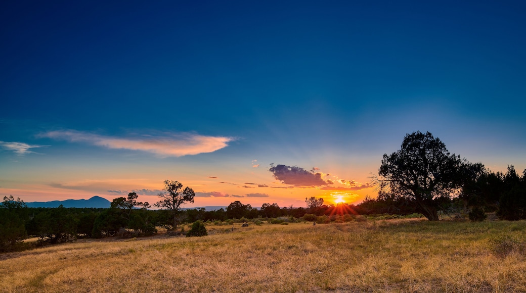 Sunset Over Open Field
