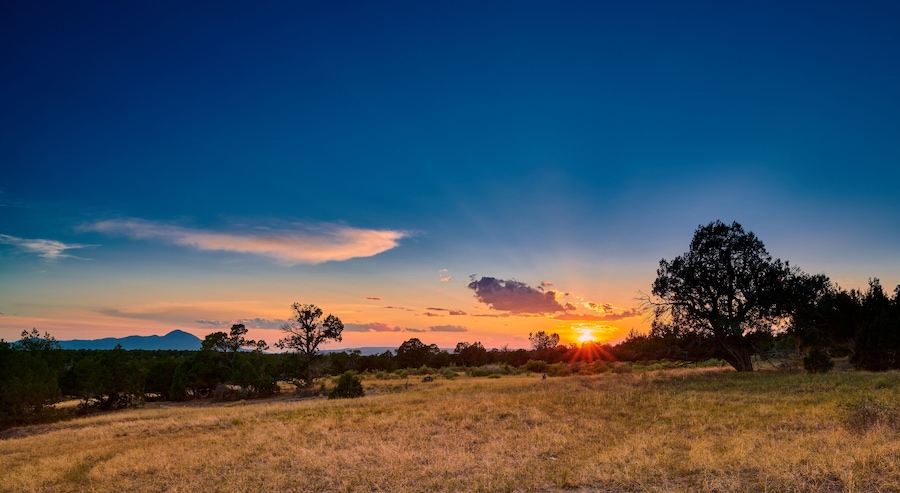 Un atardecer sobre un campo cubierto de hierba, con árboles y montañas al fondo.