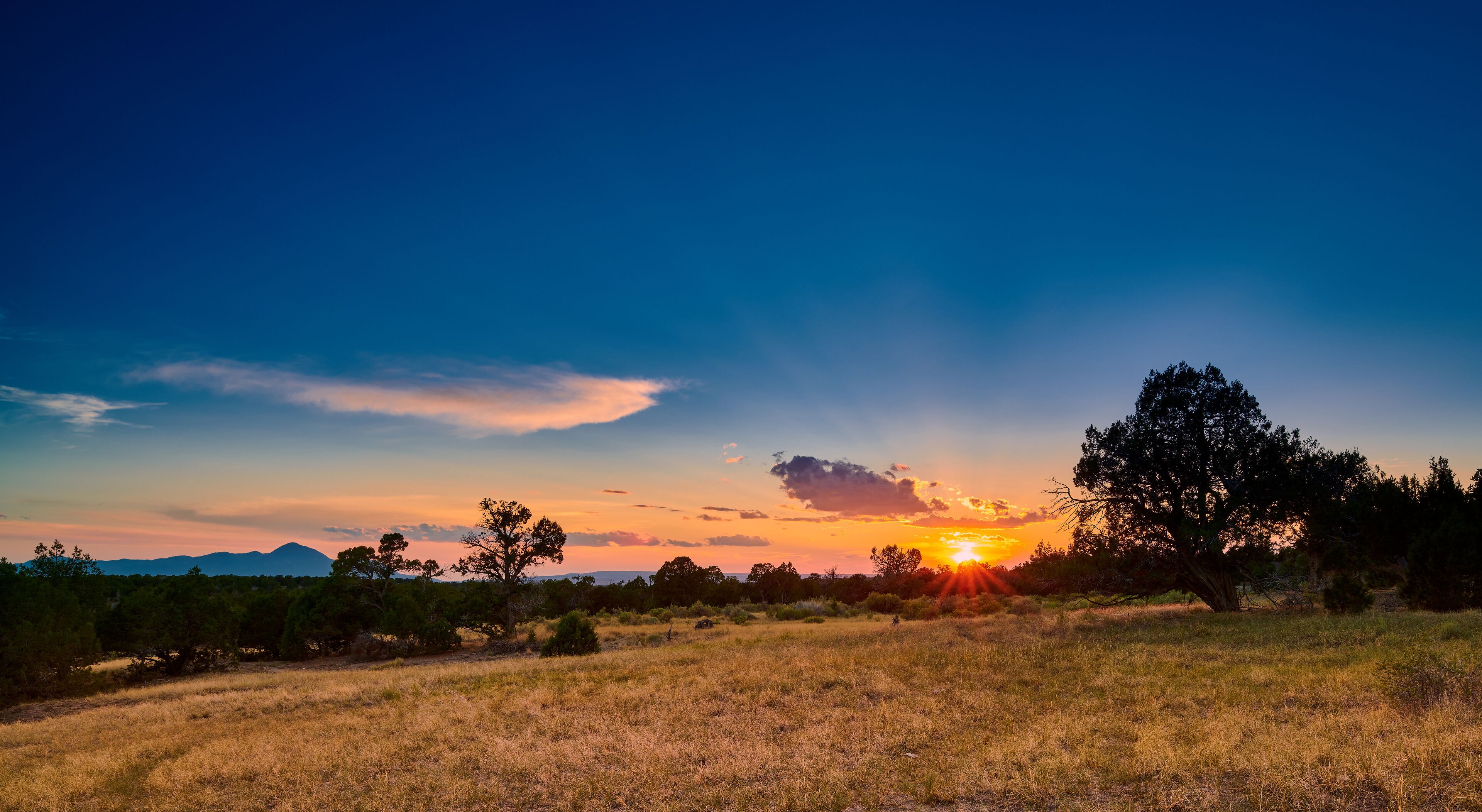 A sunset over a grassy field with trees and mountains in the background.