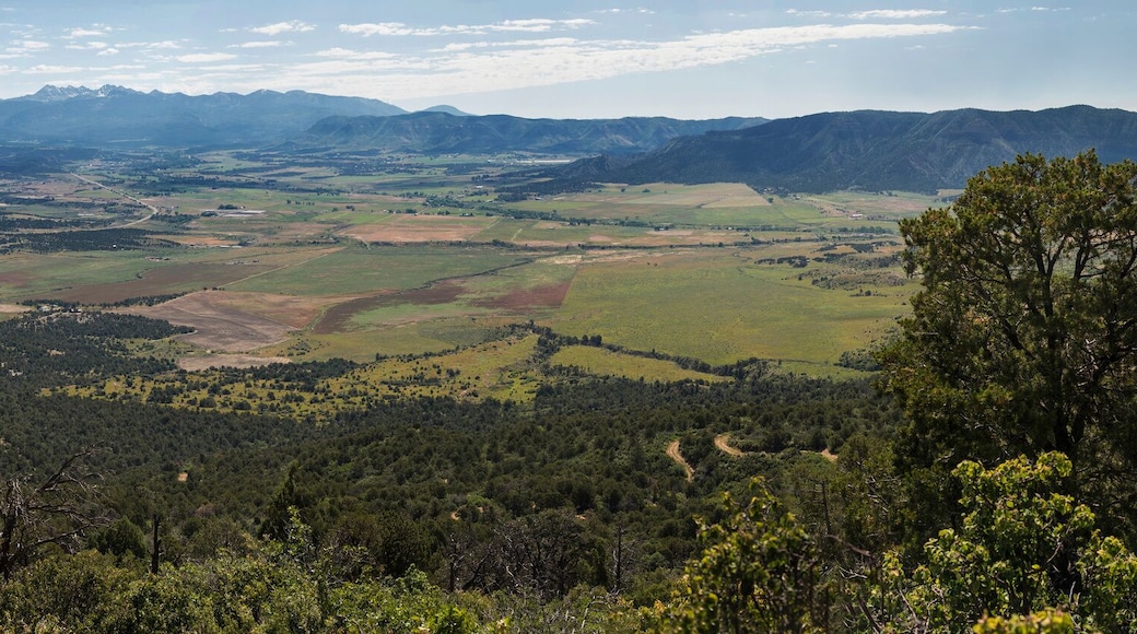 Mancos Valley Overlook Panoramic