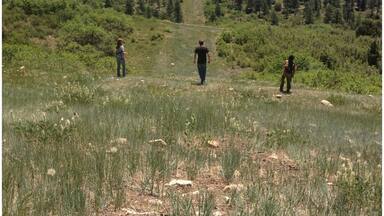 Even more fun than following the designated hiking trails is traversing the natural gas pipeline path. It is steeper than this looks and quite rocky beneath the wispy grasses that have grown over the pipe, and it affords great views above the Target Tree Campground in the Dolores district just east of Mancos.