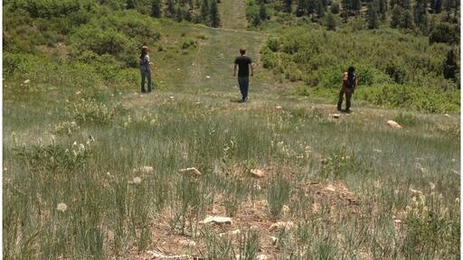 Even more fun than following the designated hiking trails is traversing the natural gas pipeline path. It is steeper than this looks and quite rocky beneath the wispy grasses that have grown over the pipe, and it affords great views above the Target Tree Campground in the Dolores district just east of Mancos.