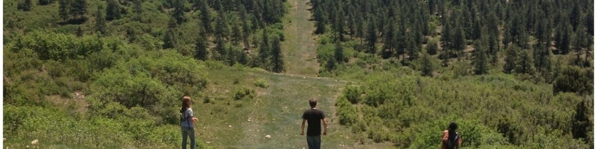 Even more fun than following the designated hiking trails is traversing the natural gas pipeline path. It is steeper than this looks and quite rocky beneath the wispy grasses that have grown over the pipe, and it affords great views above the Target Tree Campground in the Dolores district just east of Mancos.