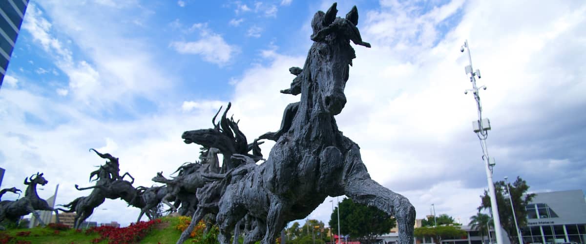 Guadalajara mostrando arte al aire libre, una estatua o escultura y un jardín