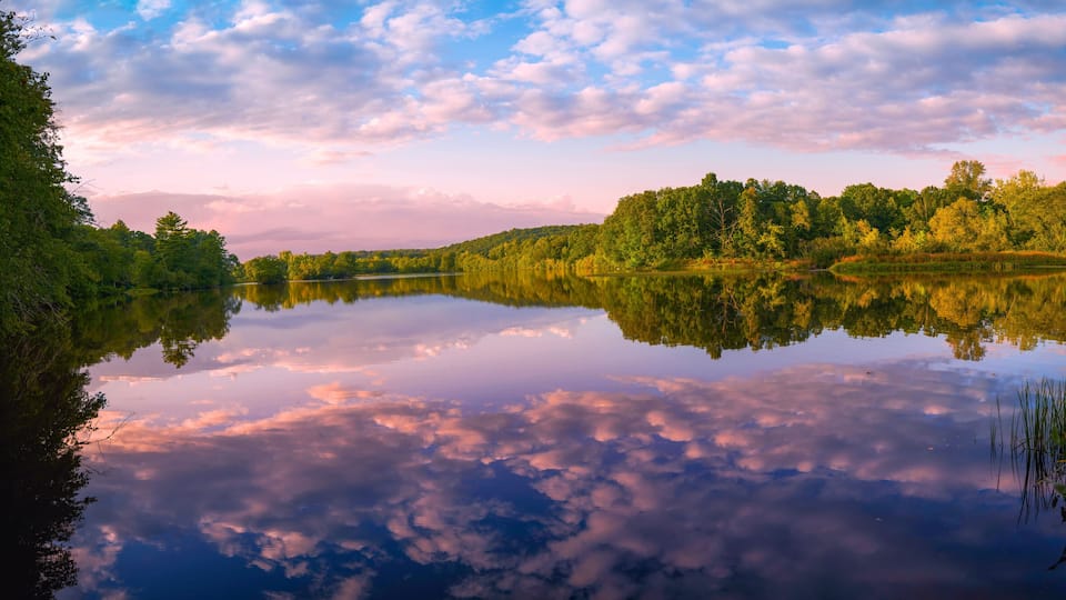 Un lago tranquilo que refleja árboles y un cielo nublado.