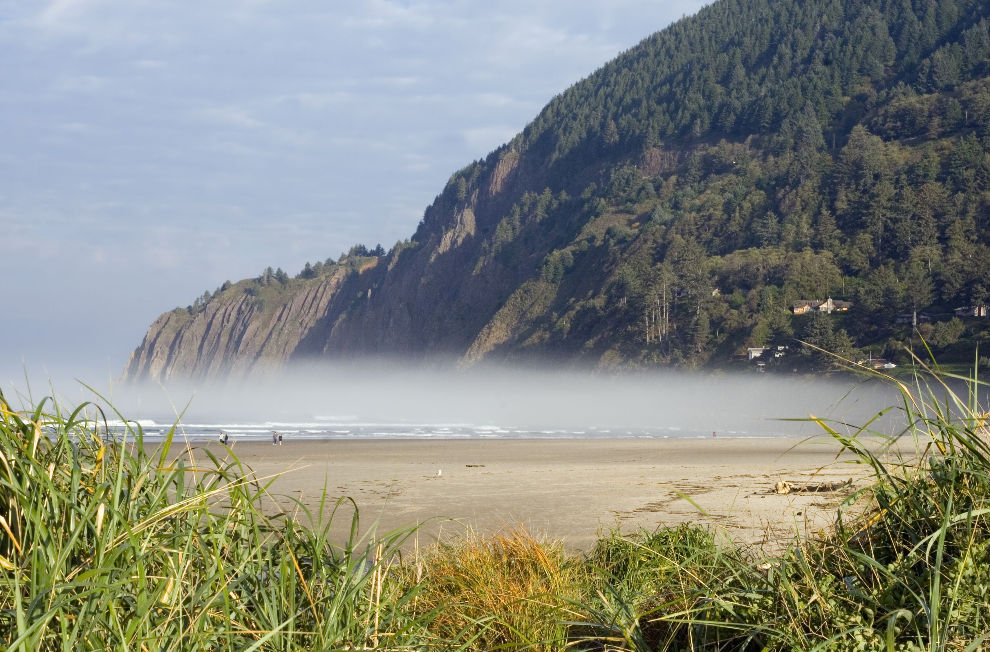 A beach with a mountain in the background.