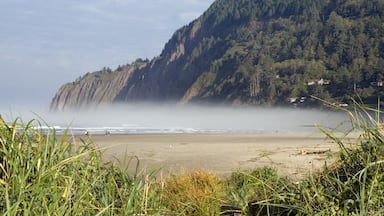 Uma praia com uma montanha ao fundo.