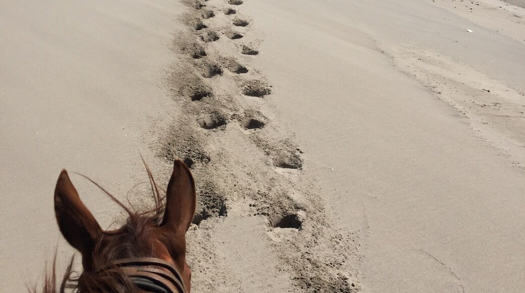 Oregon coast vacation!