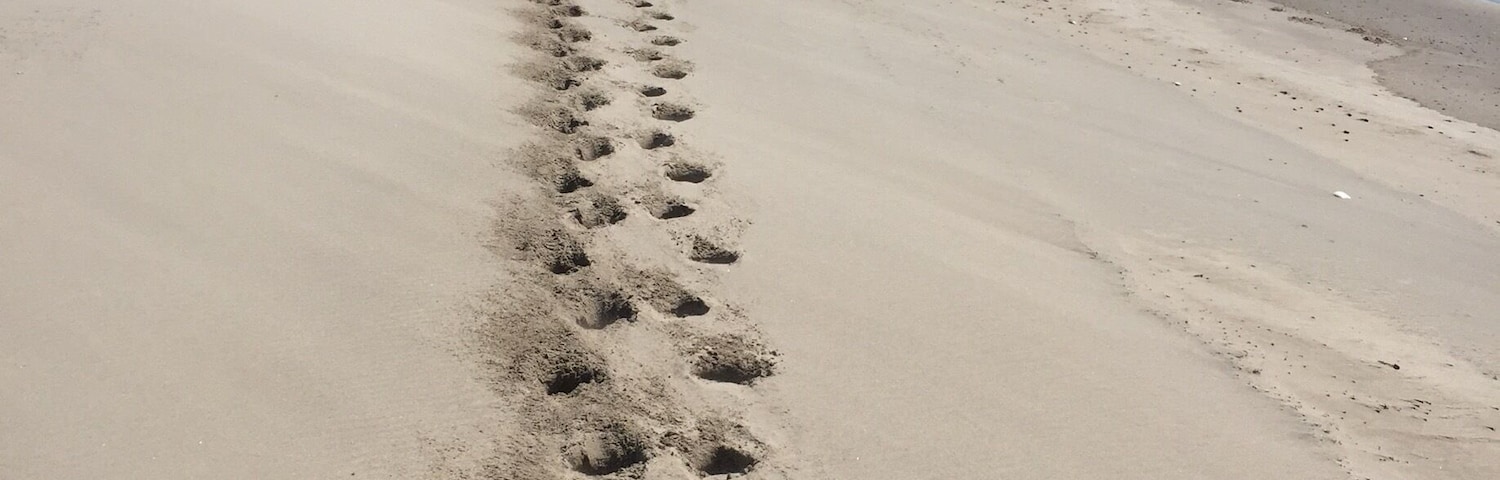 Oregon coast vacation!