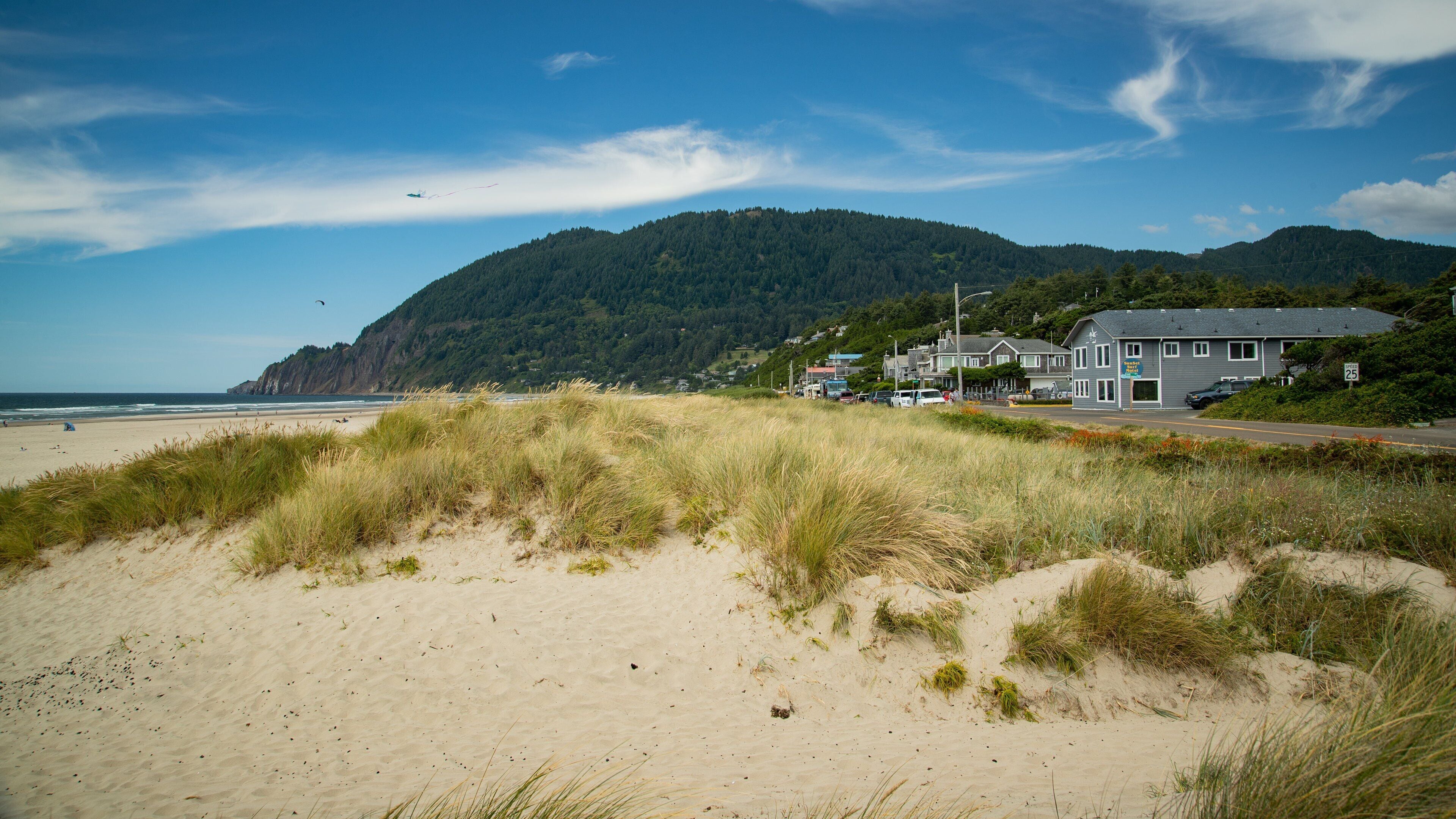 A beach with sand dunes, a forested hill, and houses in the background.