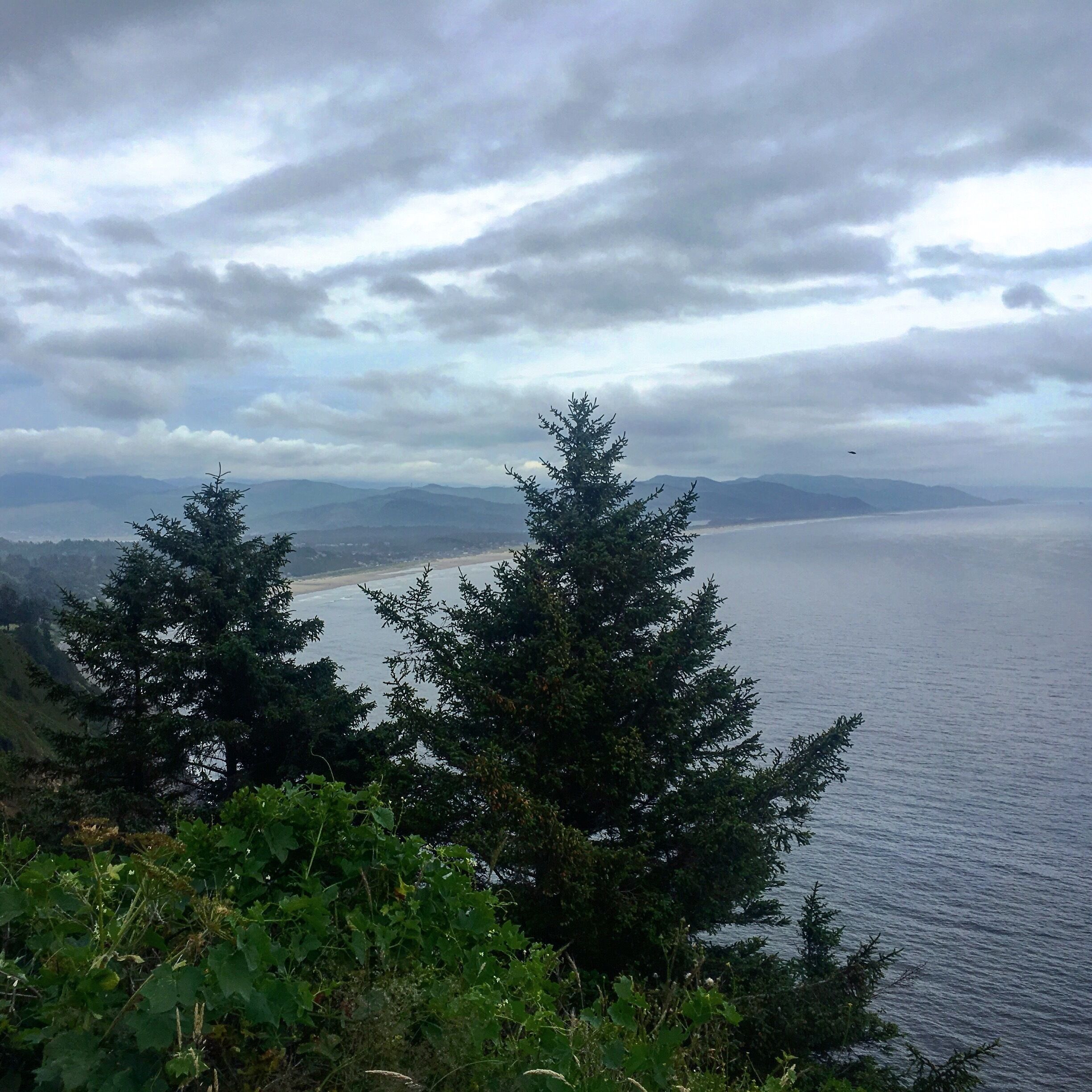 #manzanita #LifeAtExpedia 
#pnw #fourthofjuly