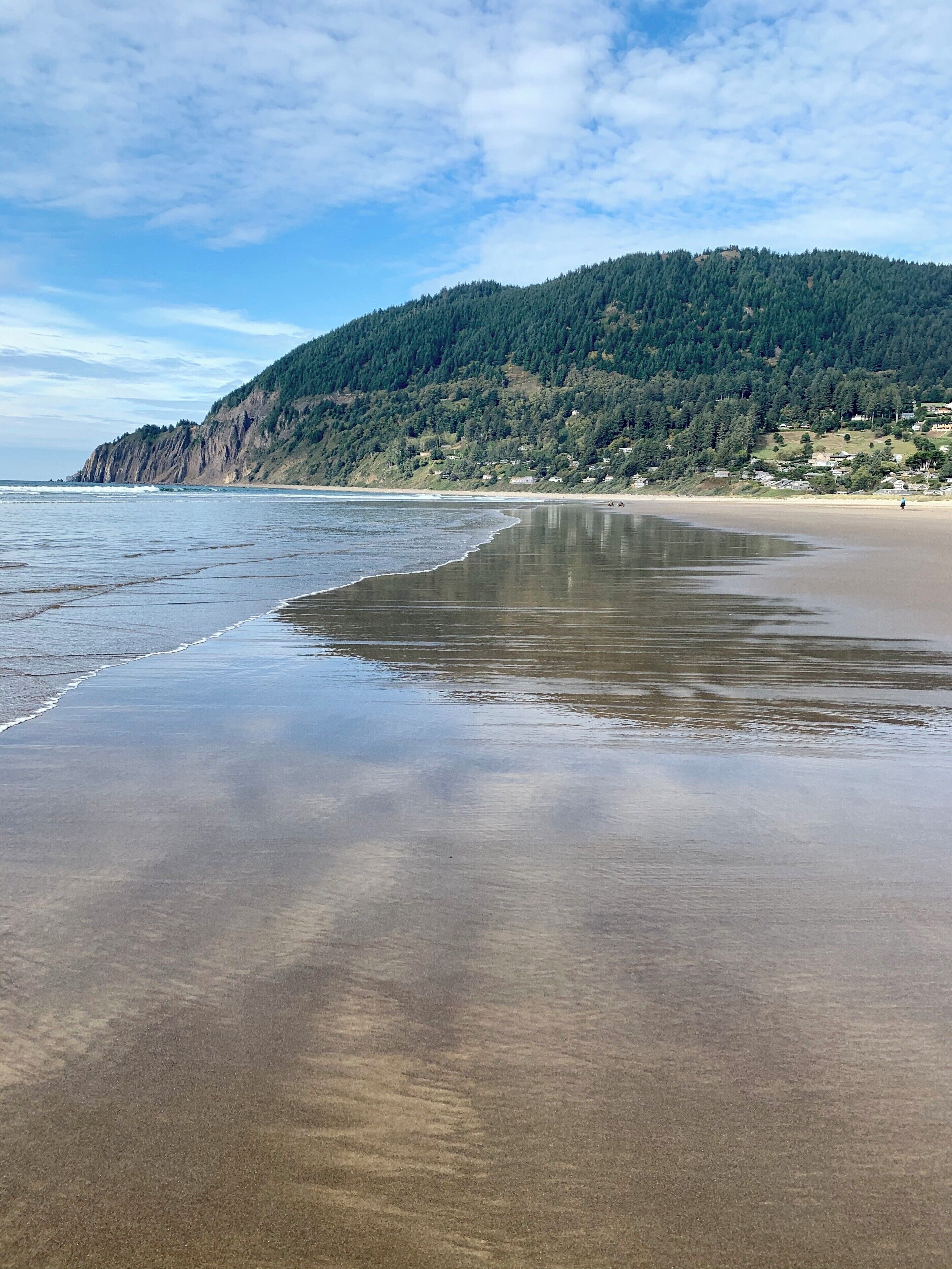 A beach with a forested hillside in the background.