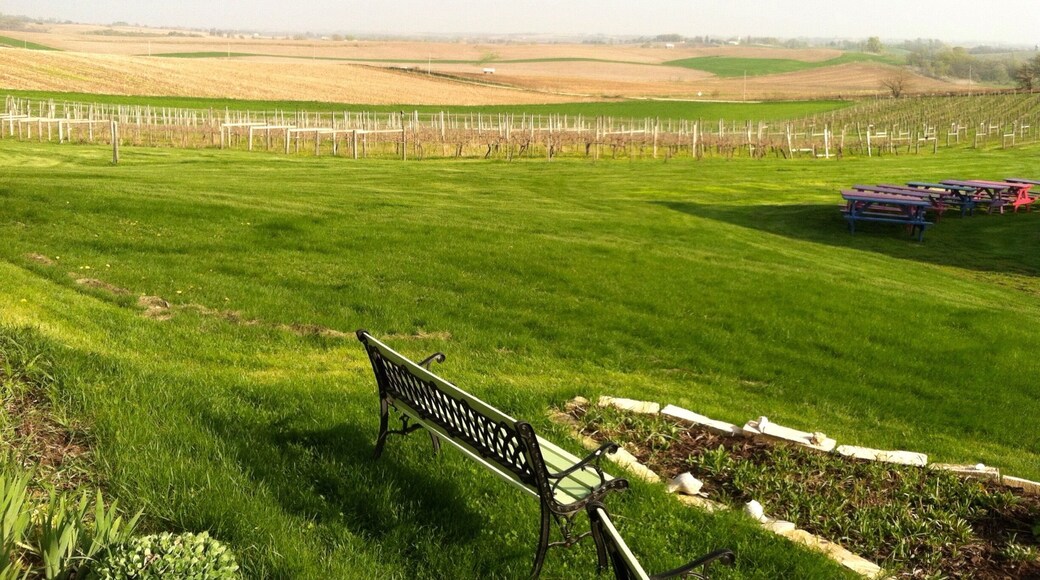 Tabor Hills Vineyard - very hardy strains of grapevines