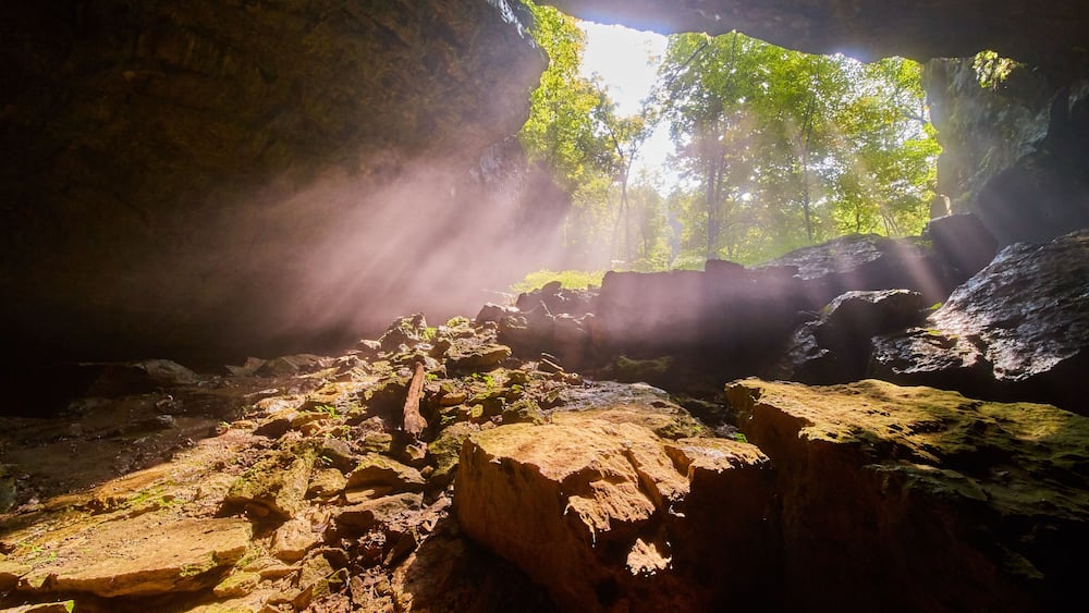 A cave entrance with sunlight streaming through, illuminating the rocks and trees.