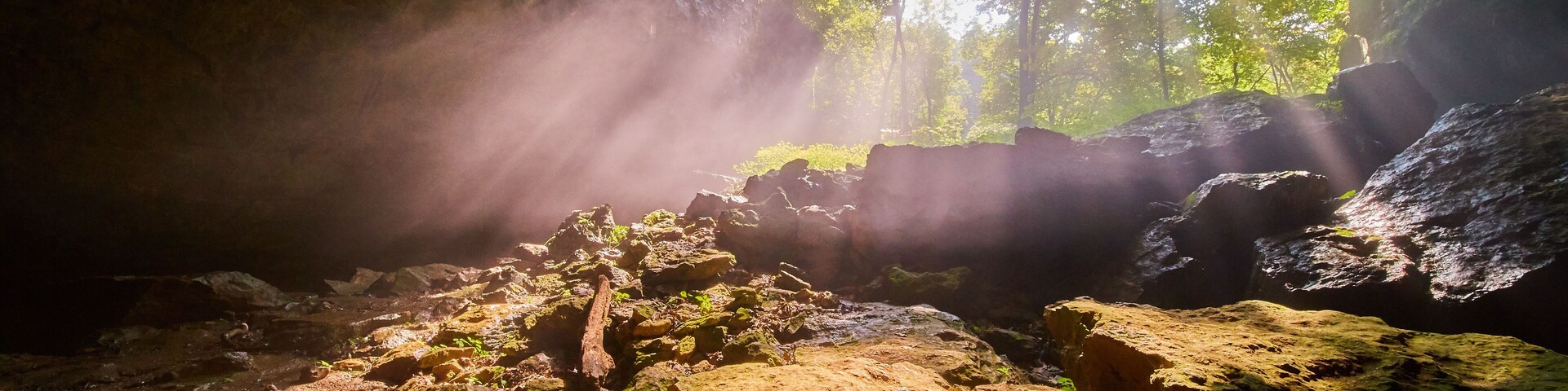 La entrada de una cueva iluminada por rayos de sol que destacan las rocas y los árboles.
