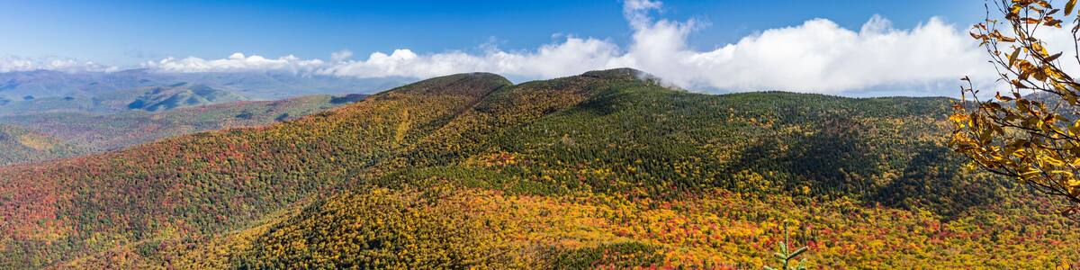 Peak Color Panorama from Slide Mountain
