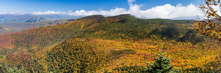 Peak Color Panorama from Slide Mountain