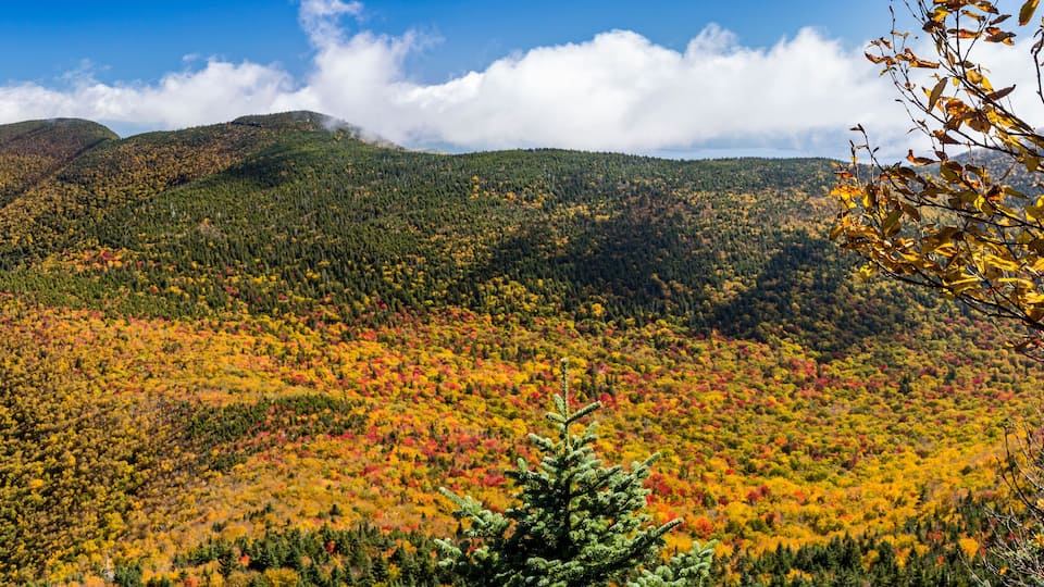 A mountainous landscape with autumn foliage.