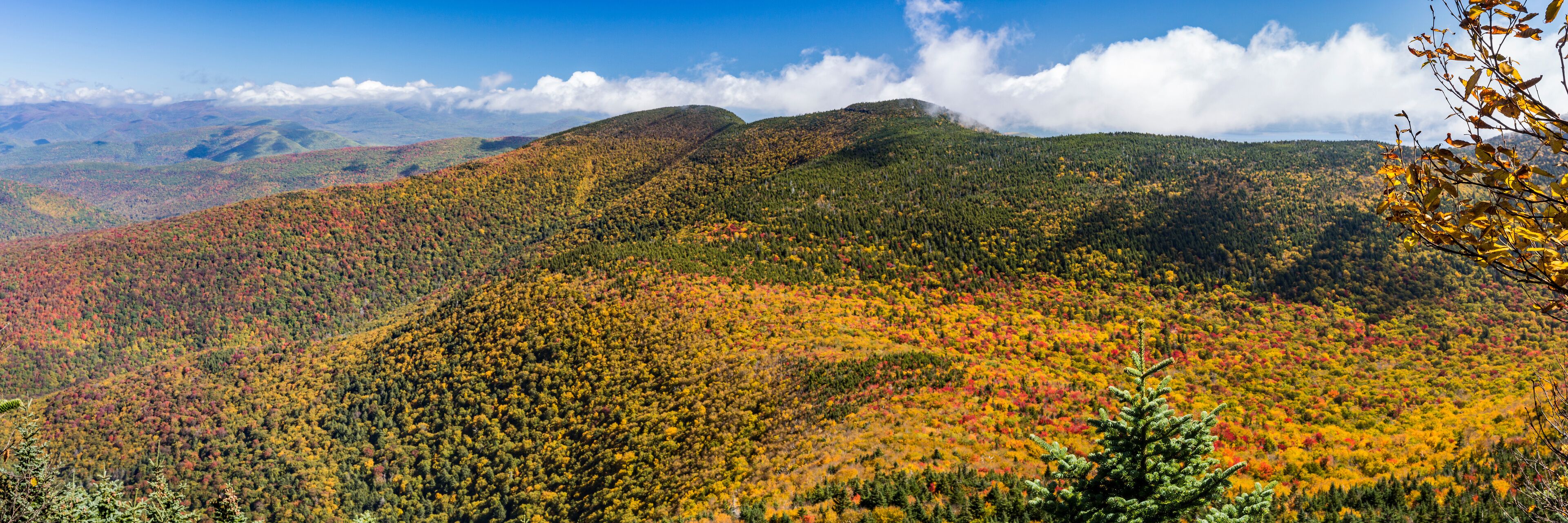 A mountainous landscape with autumn foliage.