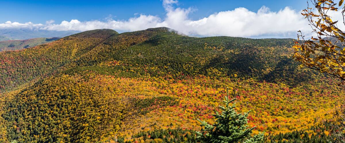 A mountainous landscape with autumn foliage.