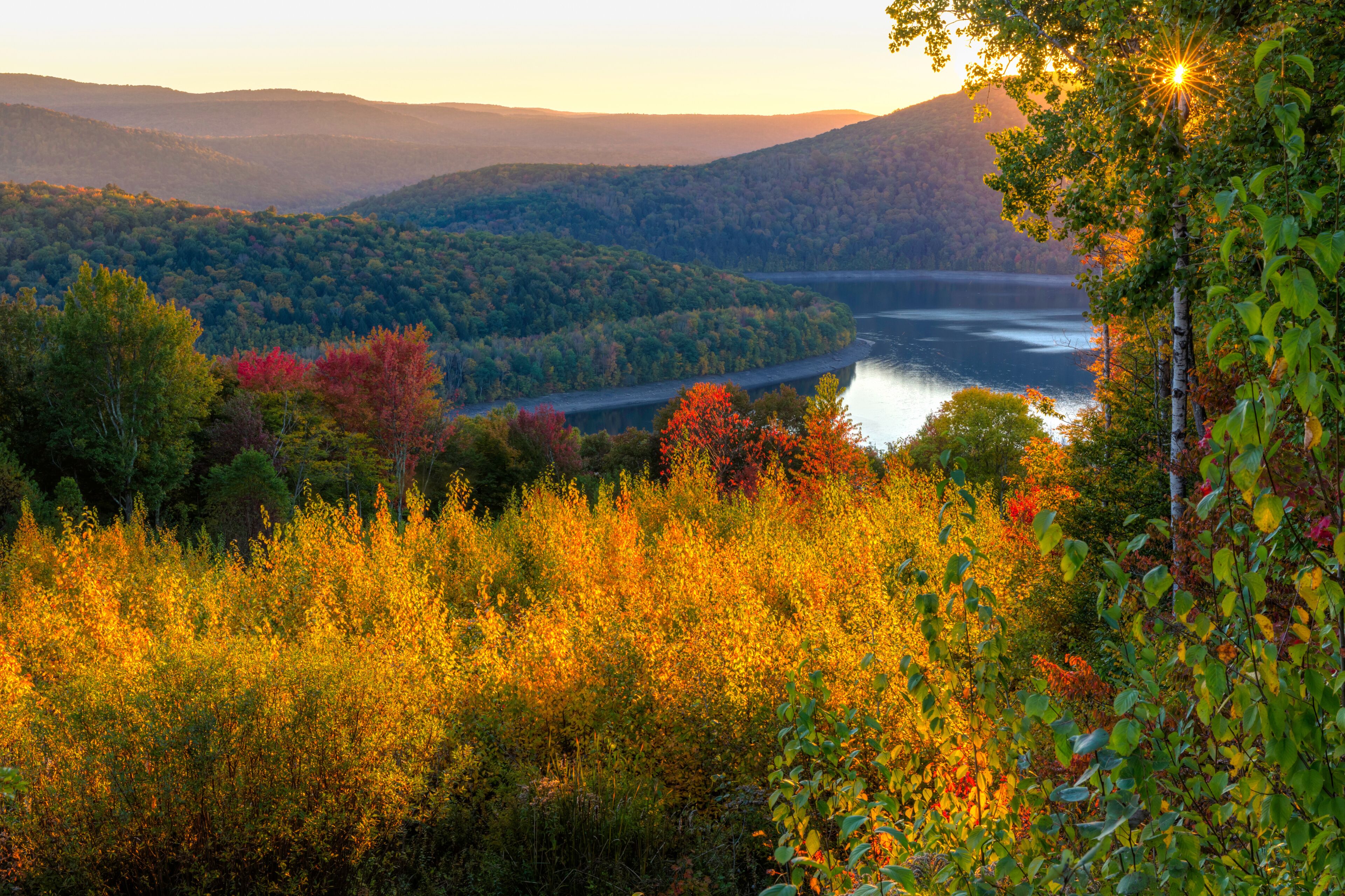 A river winding through a forested valley with hills in the background.