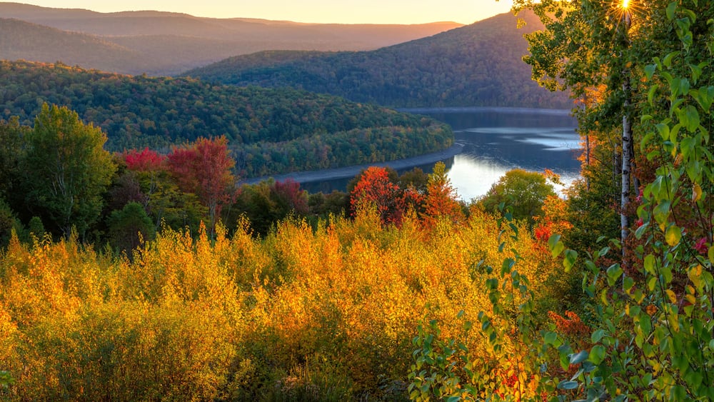 A river winding through a forested valley with hills in the background.