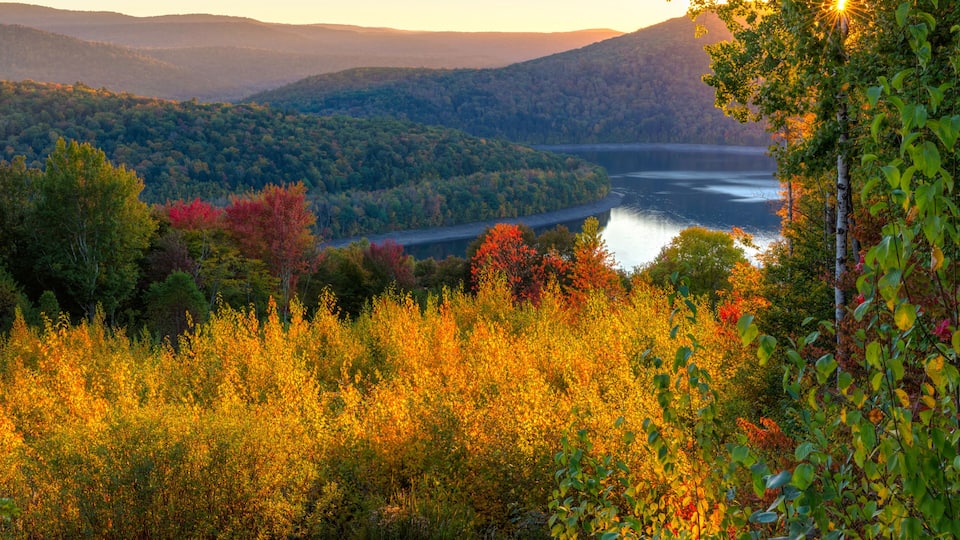 A river winding through a forested valley with hills in the background.