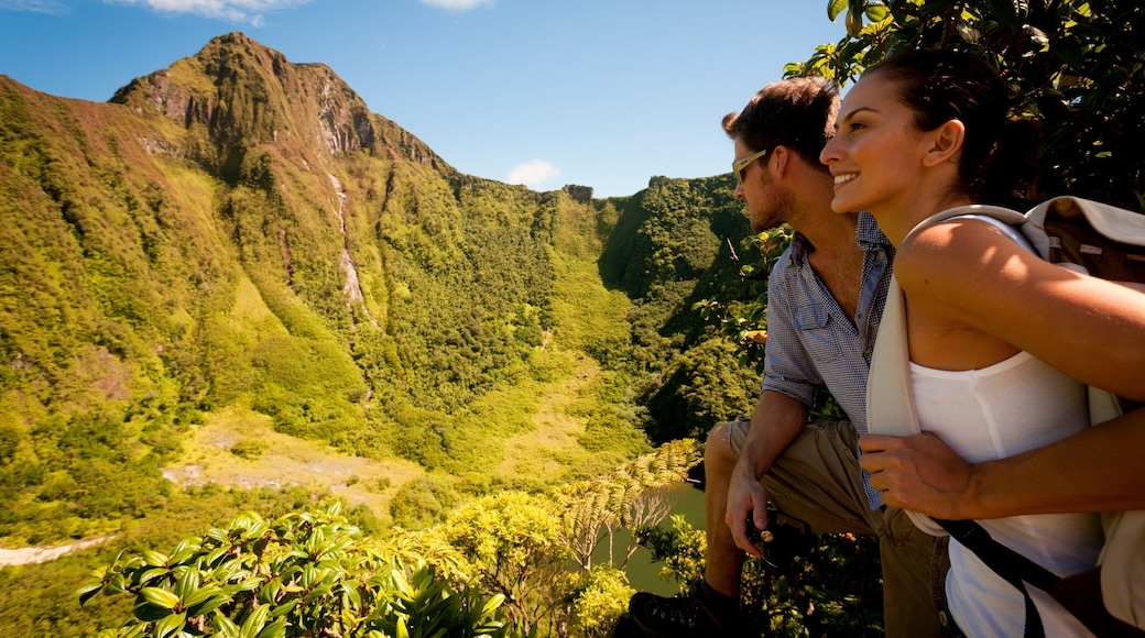 St. Kitts and Nevis showing tranquil scenes and a gorge or canyon as well as a couple