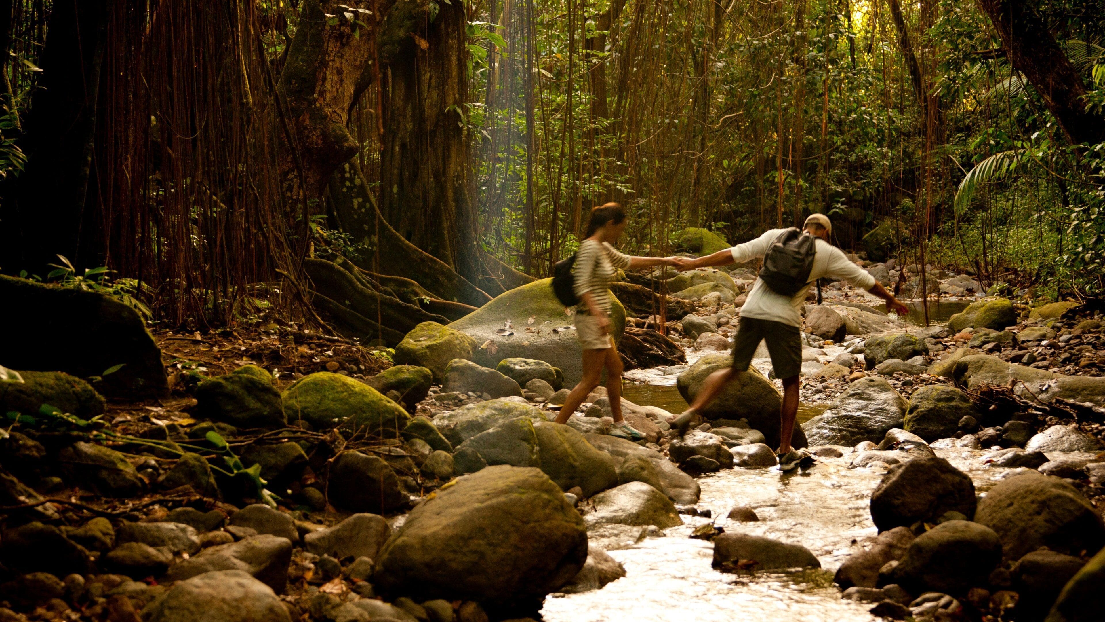 St. Kitts and Nevis which includes forest scenes, hiking or walking and a river or creek