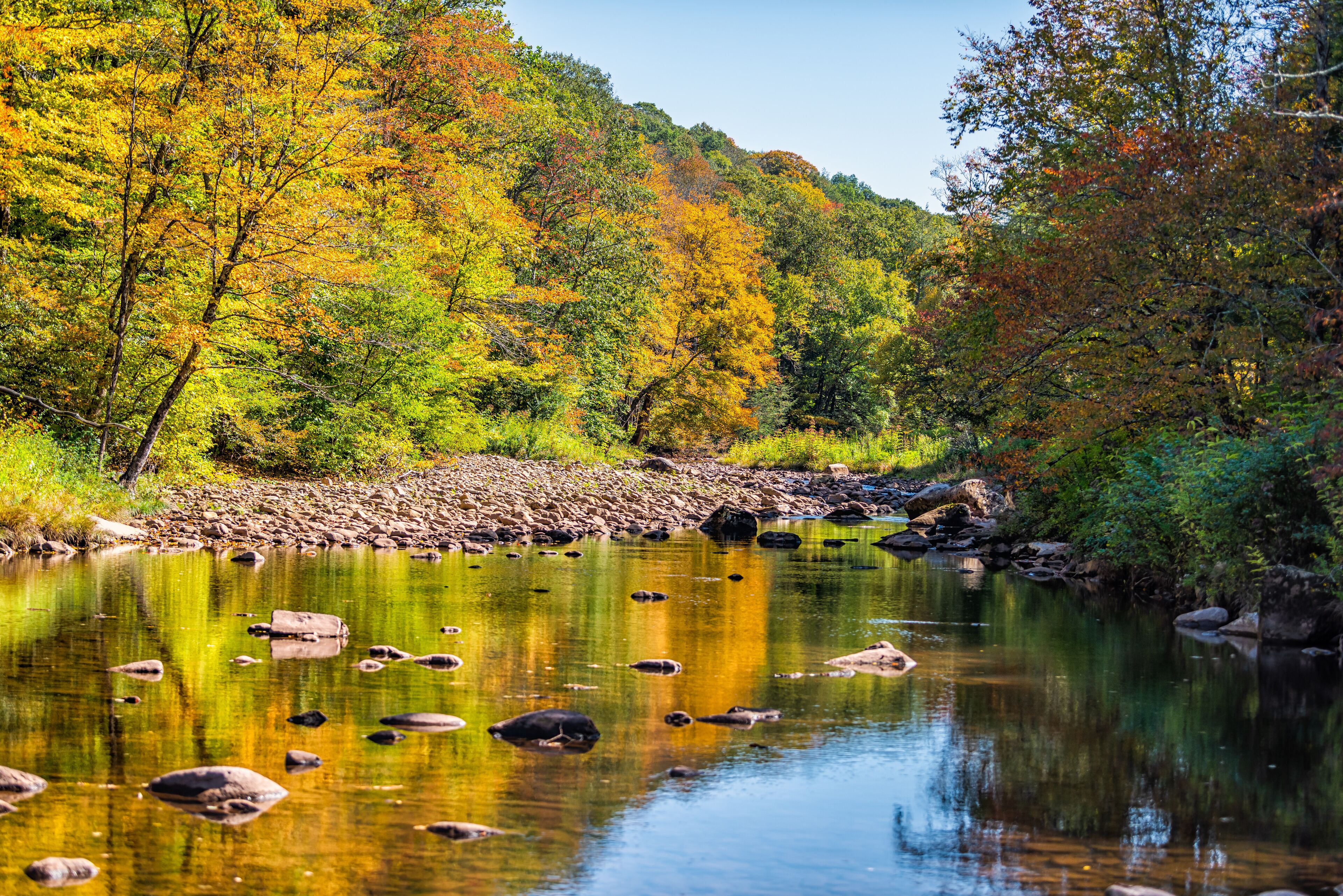 Morning sunrise at Tea creek campground with shallow river water landscape in colorful autumn fall foliage forest trees and rocks in Marlinton, West Virginia