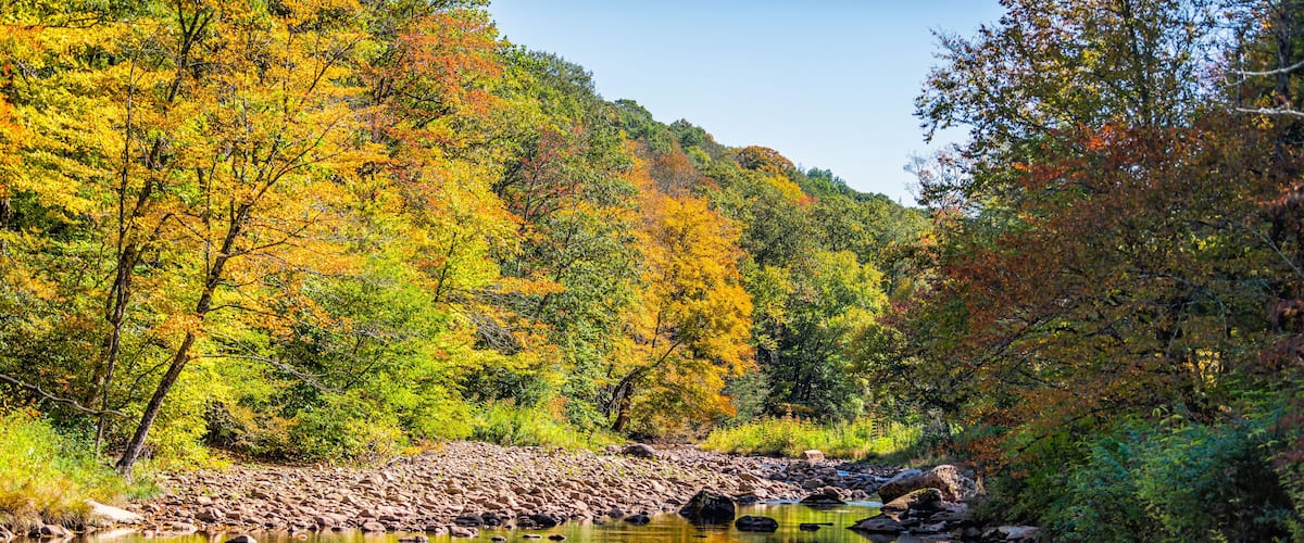 A calm river with rocks, surrounded by autumn-colored trees.