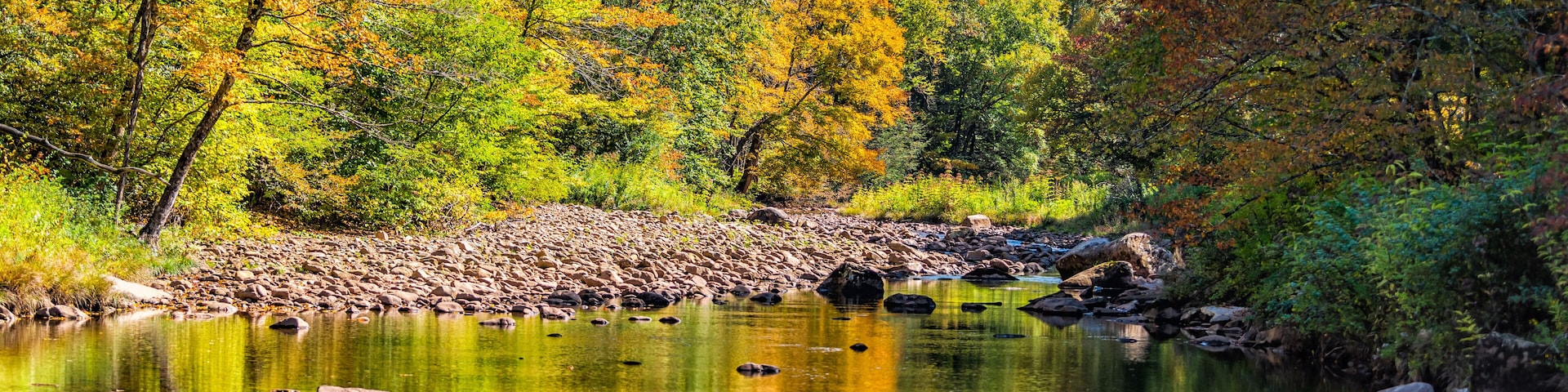 Ein ruhiger Fluss mit Steinen, umgeben von Bäumen im Herbstlaub.
