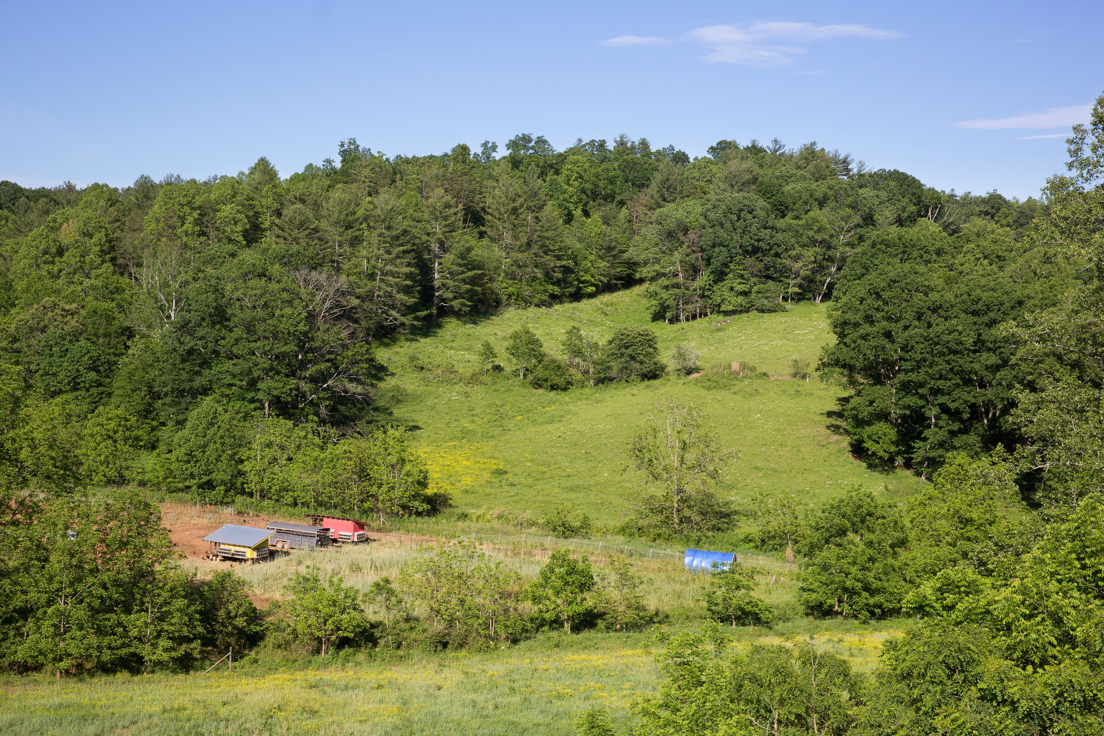 Field landscape of chicken coops on free range organic farm