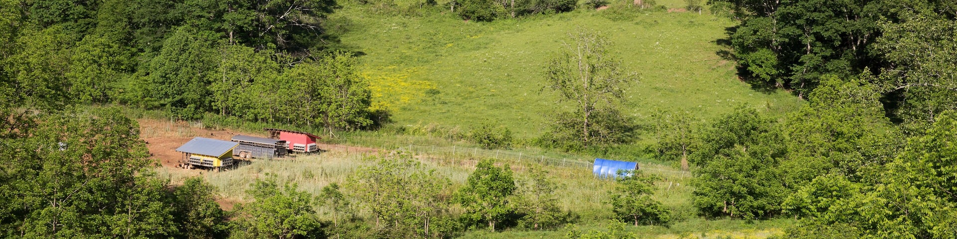 Field landscape of chicken coops on free range organic farm