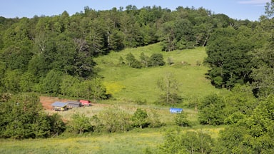 Field landscape of chicken coops on free range organic farm