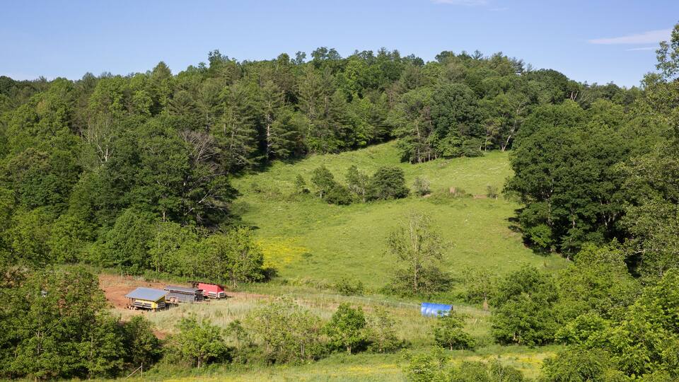 Field landscape of chicken coops on free range organic farm