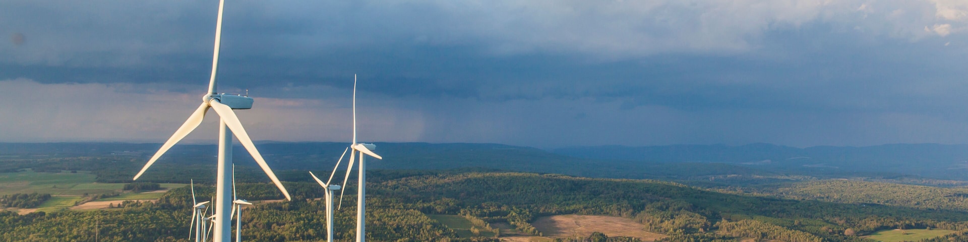 Aerogeneradores en un paisaje boscoso bajo un cielo nublado.