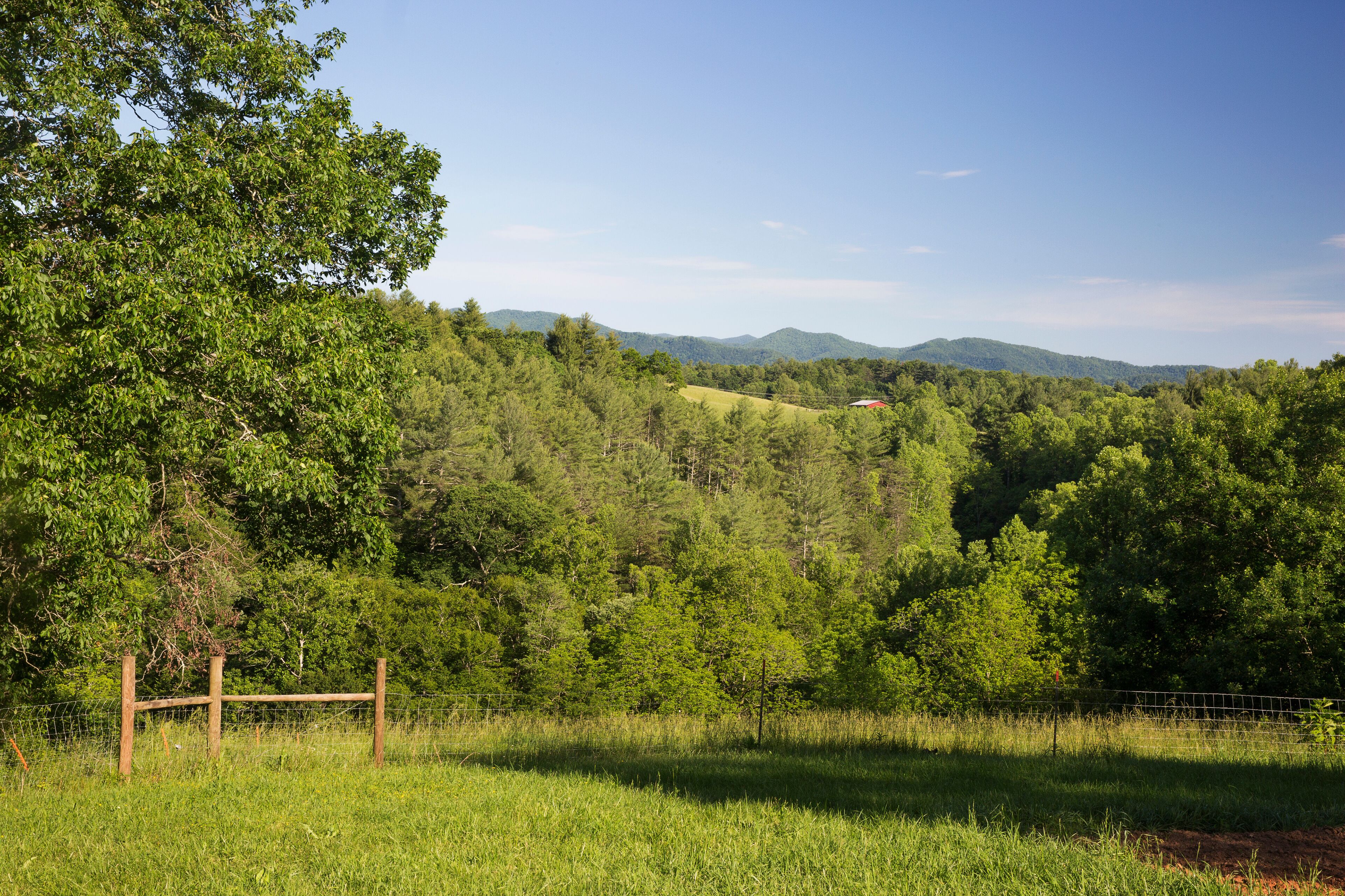 Field landscape of free range organic farm