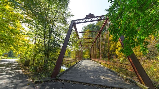 มาร์แชลล์