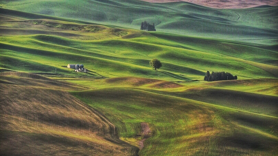 View on top of Steptoe Butte State Park