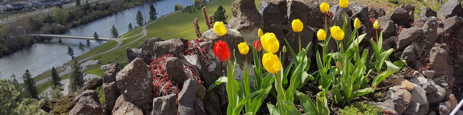 View overlooking the Spokane River. #SpringFun