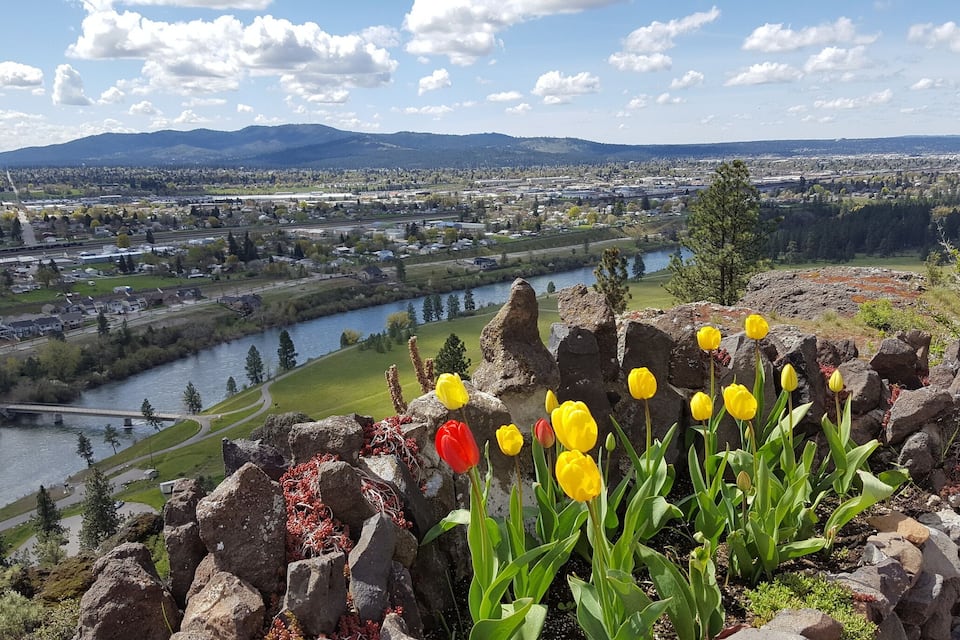A river, a bridge, and a cityscape with mountains in the background.