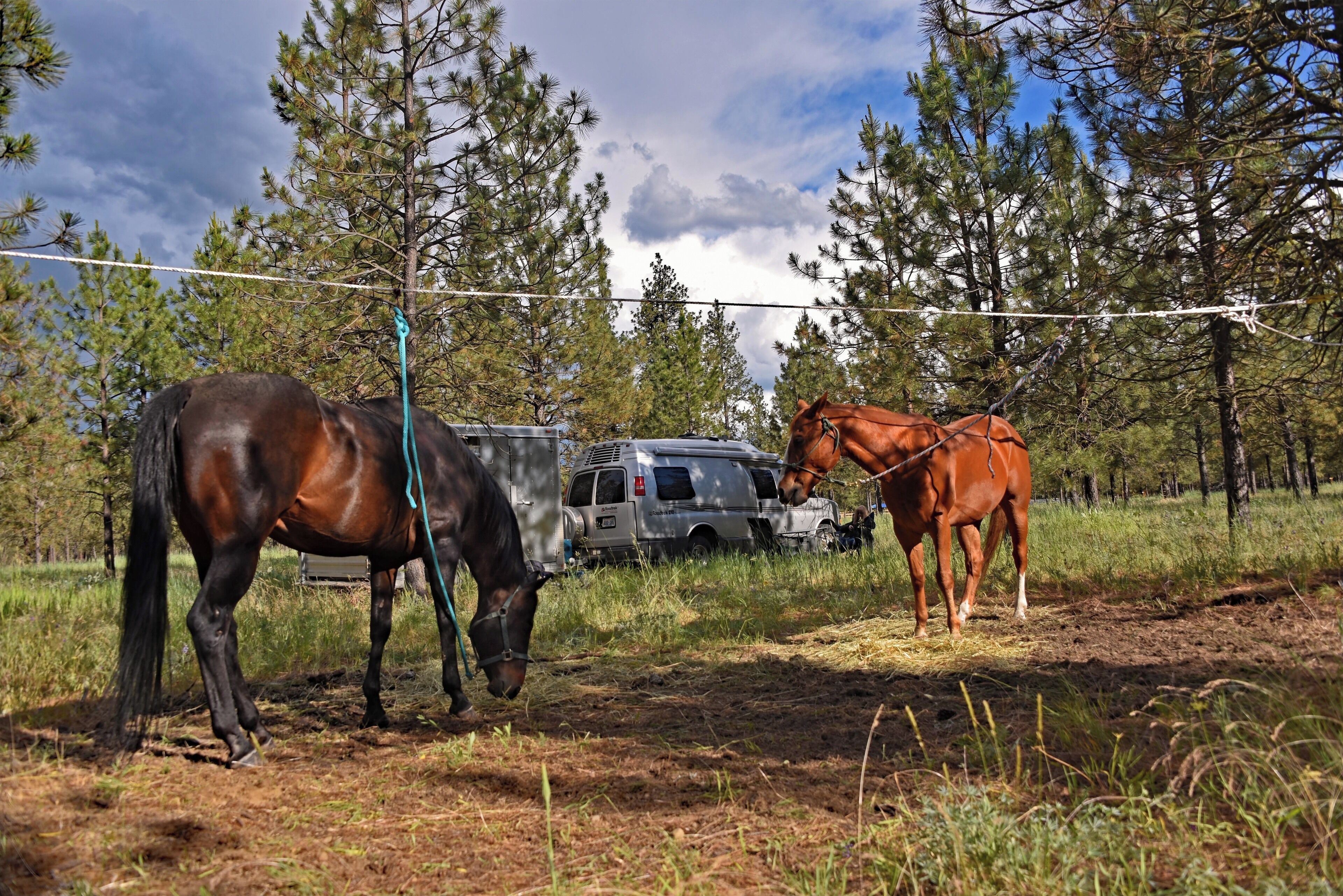 Riverside State Park has thousands of acres for hikers, bikers, fishing, kayaks, and of course horseback.  There is a wonderful equestrian area as well as a campground with corrals.  However, when the campground is full, those of us with experienced horses can "high-line" in the overflow area. 
#camping
#horseback
#outdoors
#state_park
#mybackyard

#adventure