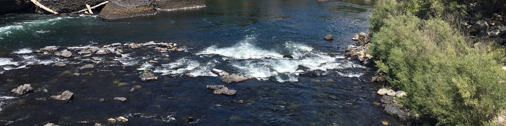 Just outside of Spokane, WA sits this little gem of a park! Great trails, great hiking and a soak in the river in the August heat.
