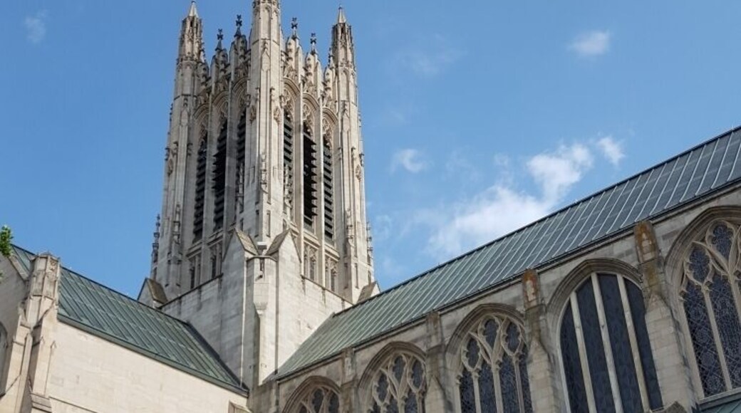 Beautiful cathedral that offers tours.